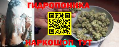 тгк Новокубанск