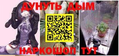 тгк Новокубанск